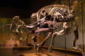 Tellus Science Museum
