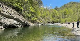 The Townsend Wye