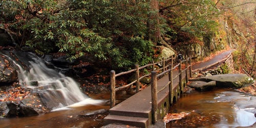 Waterfalls & Hiking Trails