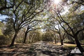 Wormsloe Historic Site