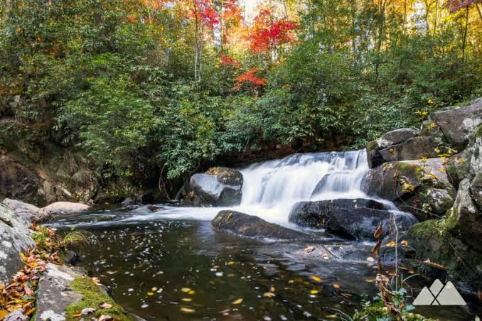 Cohutta Wildlife Management Area