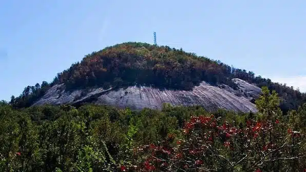 Glassy Mountain Heritage Preserve