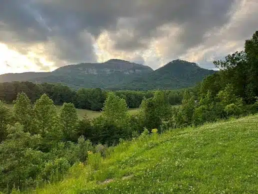 Grant Meadow Overlook