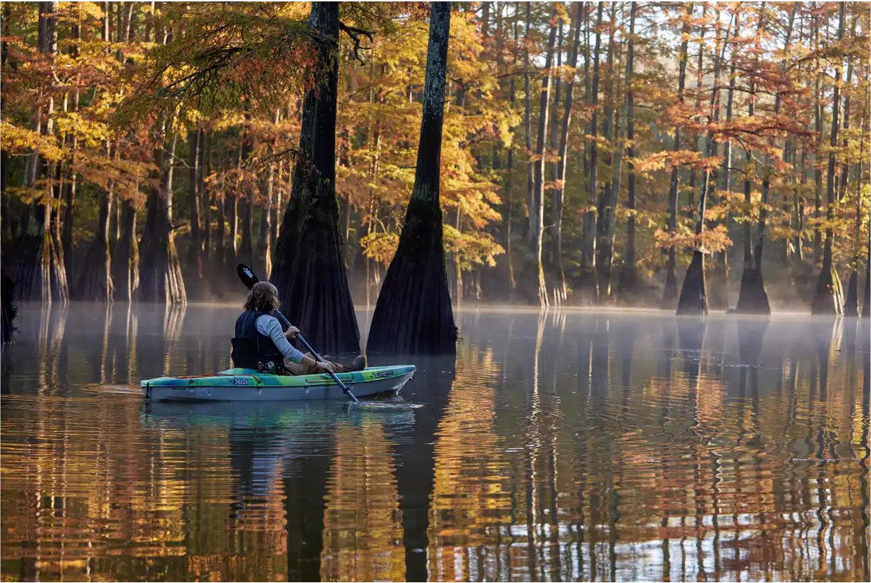 Hatchie River