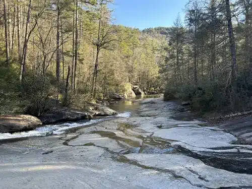Long Shoals Wayside Park