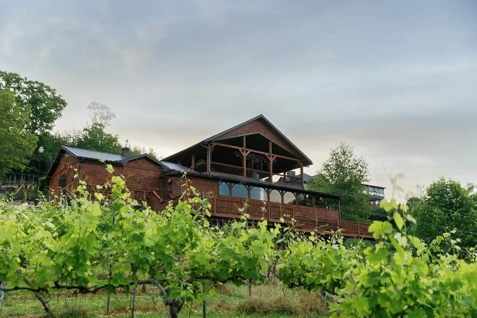 Wolf Mountain Vineyards