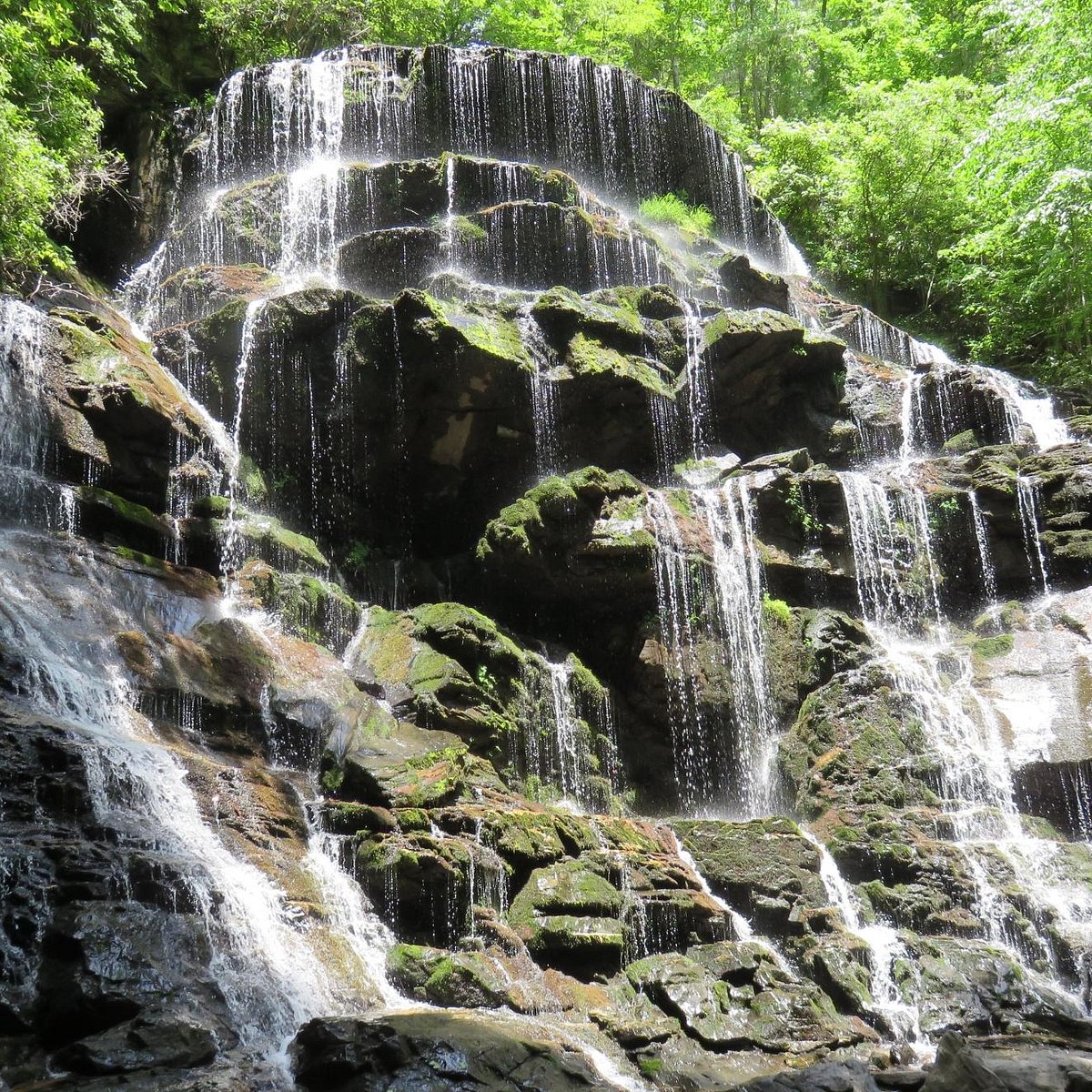 Yellow Branch Falls