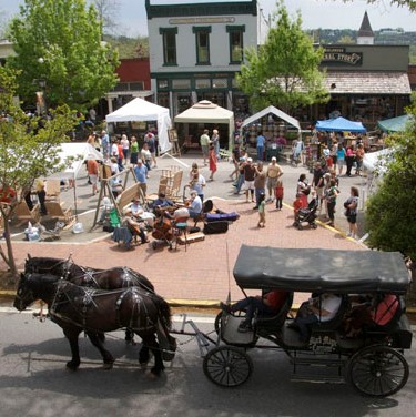 Bear on the Square Mountain Festival