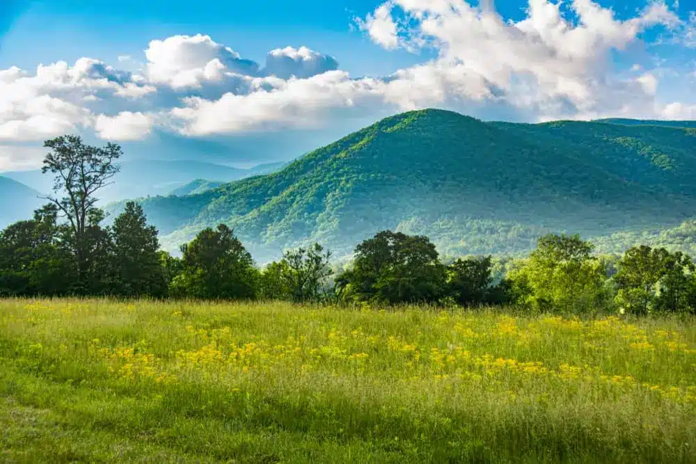 Cades Cove
