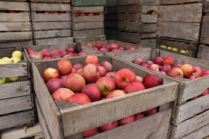 Apple Weeks at Sauder Village