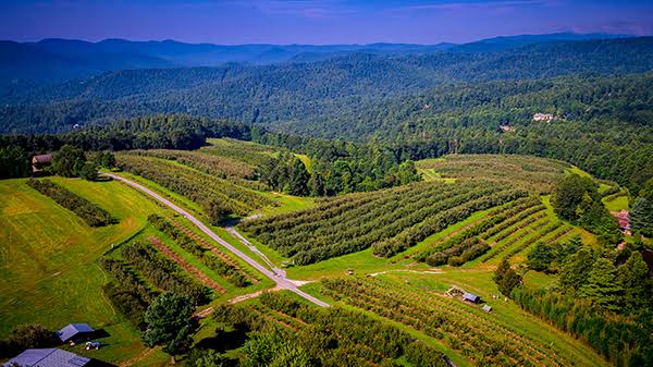 Hendersonville Orchards