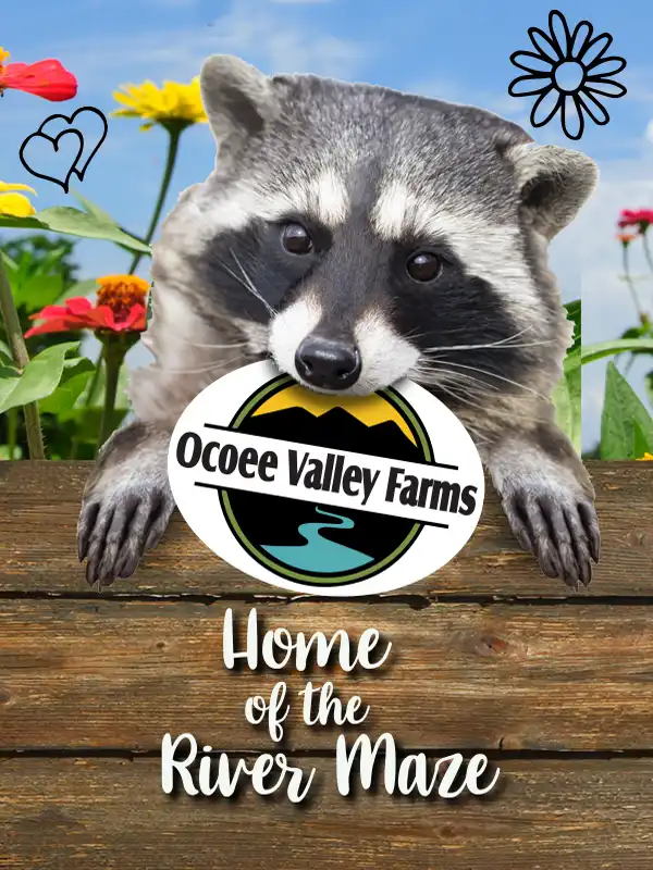 Ocoee Valley Farms Fall Festival & River Maze